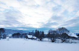 Cabană în zona de munte
