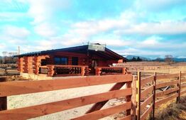 Cabană în zona de munte