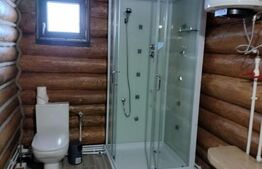 Cabană în zona de munte