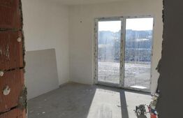 Case 120mp, Ipotesti