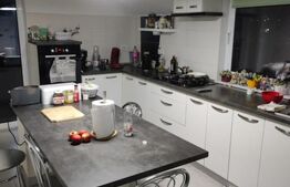 Casa 177mp si Hala 180mp, Mitocul Dragomirnei