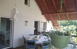 Casa 177mp si Hala 180mp, Mitocul Dragomirnei