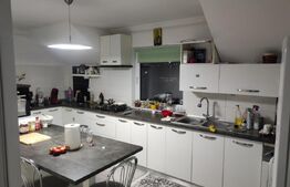 Casa 177mp si Hala 180mp, Mitocul Dragomirnei