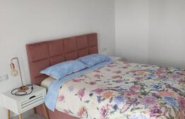 Pensiune 10 camere, 388mp, zona Dorna Arini
