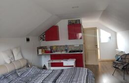 Pensiune 10 camere, 388mp, zona Dorna Arini