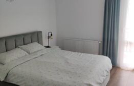 Pensiune 10 camere, 388mp, zona Dorna Arini