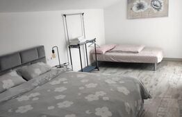 Pensiune 10 camere, 388mp, zona Dorna Arini