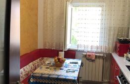 Apartament de 2 camere, 48mp, etaj intermediar, zona Burdujeni