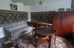 Casa batraneasca cu 4400 mp teren in Radaseni - Suceava