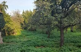 Casa batraneasca cu 4400 mp teren in Radaseni - Suceava