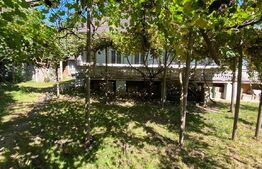 Casa batraneasca cu 4400 mp teren in Radaseni - Suceava