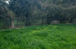 Casa batraneasca cu 4400 mp teren in Radaseni - Suceava