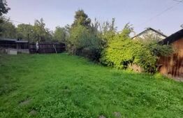 Casa batraneasca cu 4400 mp teren in Radaseni - Suceava