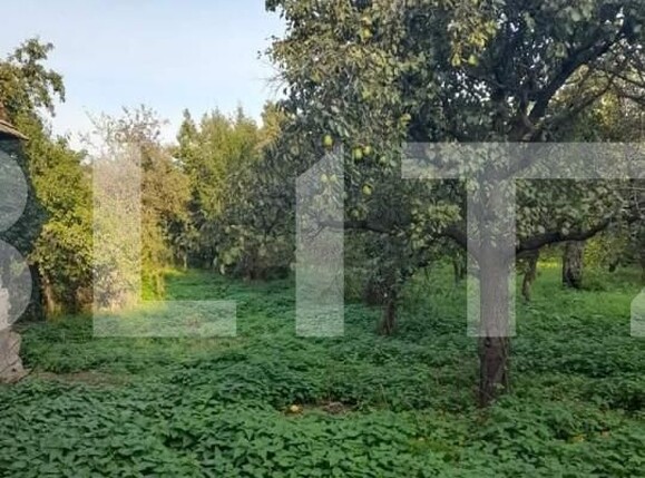 Casa de vânzare 3 camere Sud - 141731CV | BLITZ Suceava | Poza7