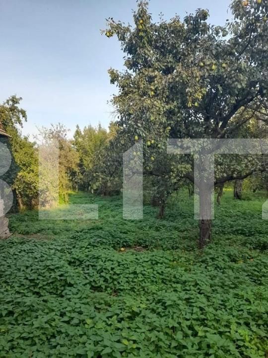 Casa de vânzare 3 camere Sud - 141731CV | BLITZ Suceava | Poza7