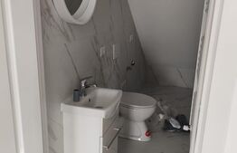 Case Insiruite, 100mp, Lisaura