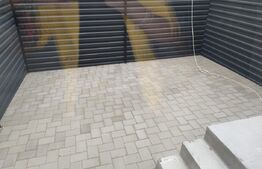 Case Insiruite, 100mp, Lisaura