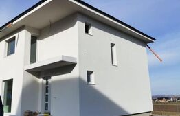 Duplex 95mp, Ipotesti