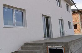 Duplex 95mp, Ipotesti