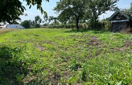 Teren intravilan, casa batraneasca, 2400 mp, cartier Lisaura