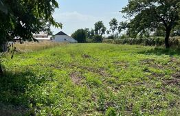 Teren intravilan, casa batraneasca, 2400 mp, cartier Lisaura