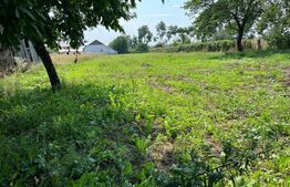 Teren intravilan, casa batraneasca, 2400 mp, cartier Lisaura