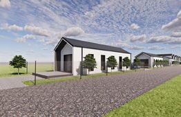 Casa individuala pe un singur nivel, 50mp , Ipotesti