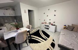 Apartament 2 camere, 33 mp, Zona Mărășești