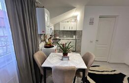 Apartament 2 camere, 33 mp, Zona Mărășești