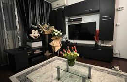 Apartament 2 camere, recent renovat, 87 mp utili, zona G EEnescu