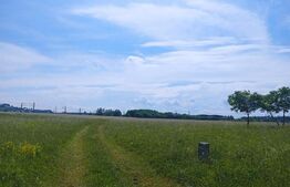 Teren intravilan, 668 mp, zona Șcheia, vizavi de Bermas, în spate la Jumbo