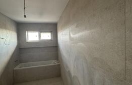 Case de vanzare  , 120 mp utili ,foișor + beci,zona rezidentiala Lisaura 