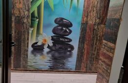 Casa individuala, 380mp, 650mp teren, zona Ipotesti