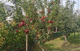 Casa individuala de 270 mp, cartier Ipotesti