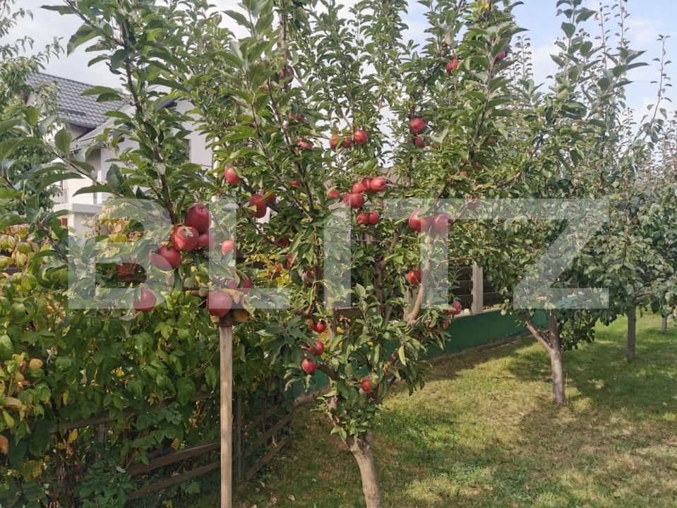 Casa de vânzare 3 camere Ipotesti - 142432CV | BLITZ Suceava | Poza19