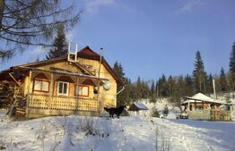 Ocazie unica! Cabana 180 mp utili, teren, Dorna Arini