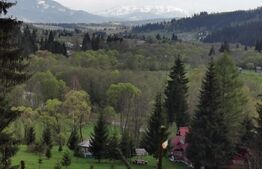 Ocazie unica! Cabana 180 mp utili, teren, Dorna Arini
