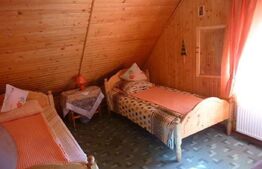 Ocazie unica! Cabana 180 mp utili, teren, Dorna Arini