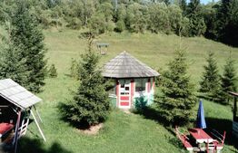 Ocazie unica! Cabana 180 mp utili, teren, Dorna Arini