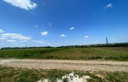 Teren intravilan, 5000 mp, destinat case/duplex zona in plina dezvoltare Lisaura