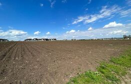 Teren intravilan cu suprafata de 3100mp ,front 18ml ,situat in Ipotesti