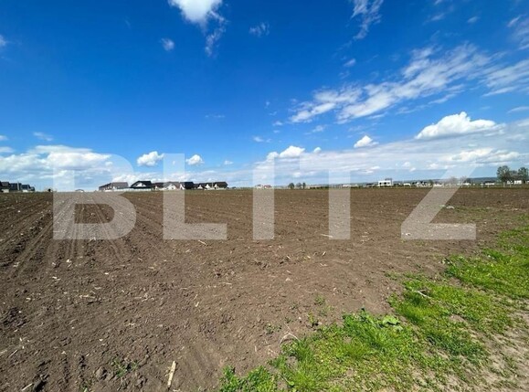 Teren de vânzare Ipotesti - 142456TV | BLITZ Suceava | Poza2