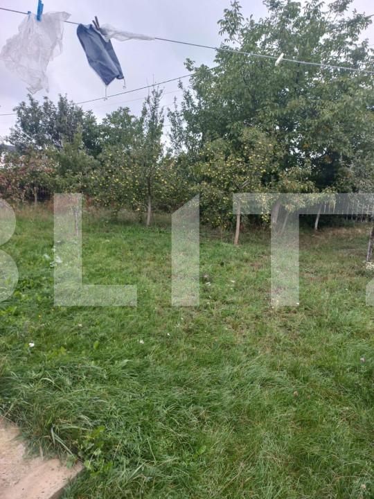 Casa de vânzare 5 camere Scheia - 142466CV | BLITZ Suceava | Poza5