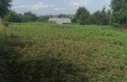 Casa Individuala Sf. Ilie Vechi 2300mp