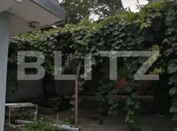 Casa de vânzare 4 camere Sfantu Ilie - 142523CV | BLITZ Suceava | Poza4
