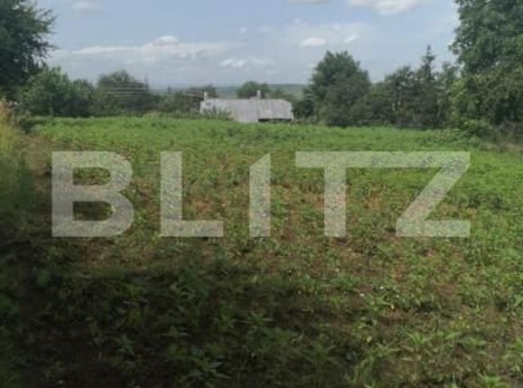 Casa de vânzare 4 camere Sfantu Ilie - 142523CV | BLITZ Suceava | Poza7