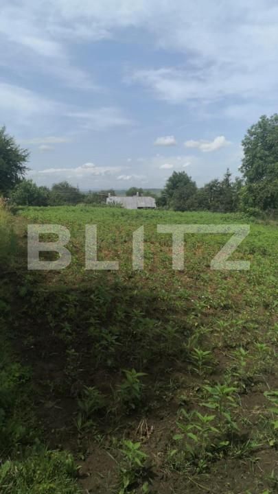 Casa de vânzare 4 camere Sfantu Ilie - 142523CV | BLITZ Suceava | Poza7