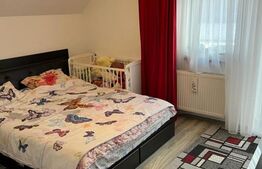 Casa individuala 4 camere 120 mp utili, 500 mp teren, mobilata Sfantu Ilie