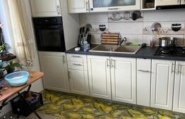 Casa individuala 4 camere 120 mp utili, 500 mp teren, mobilata Sfantu Ilie