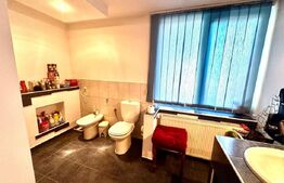 Casa 194 mp 820 mp teren, zona Mănăstirea Sfântul Gheorghe